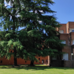 Salvatore Carrubba rieletto Presidente della Fondazione Collegio Università Milanesi